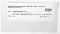 Valdensinia heterodoxa image